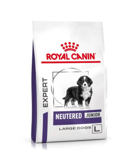 Neutered Junior Large Dog