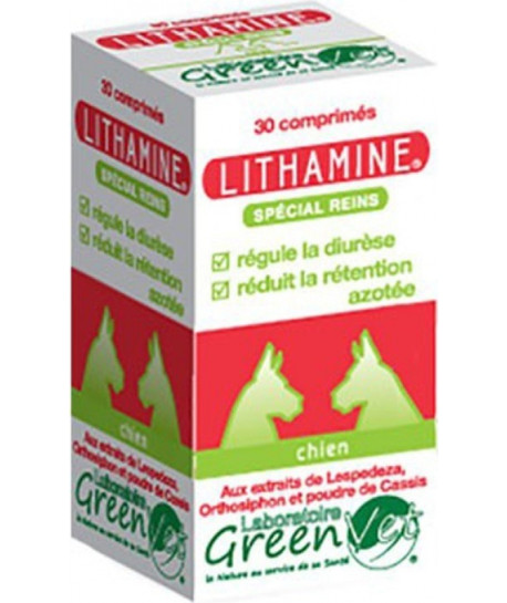 Lithamine Chien