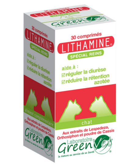 Lithamine Chat