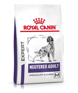Neutered Adult Dog