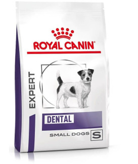 Dental Small Dog