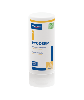Pyoderm Shampoing antiseptique