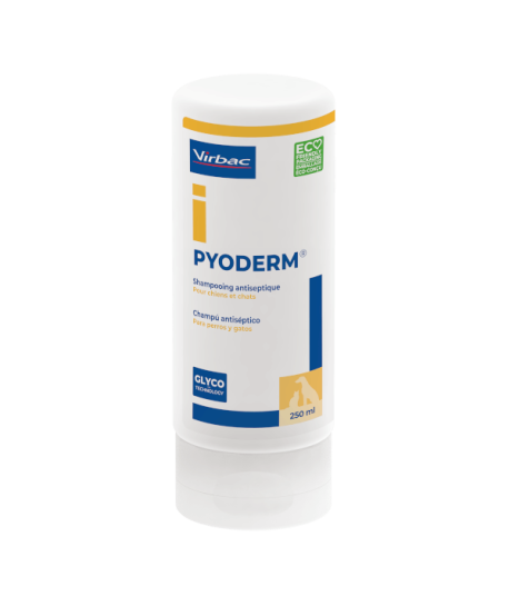 Pyoderm Shampoing antiseptique
