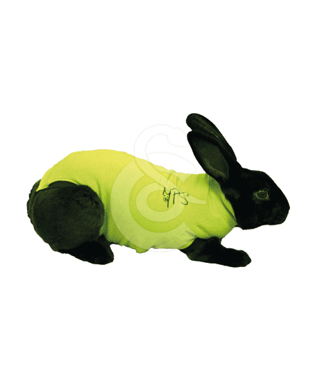 Gilet Pet Shirt pour lapin