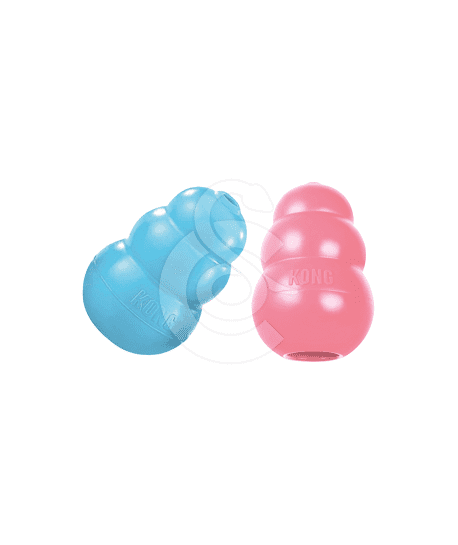 Kong Puppy