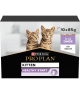 Pro Plan Cat kitten Healthy Start Dinde Sauce