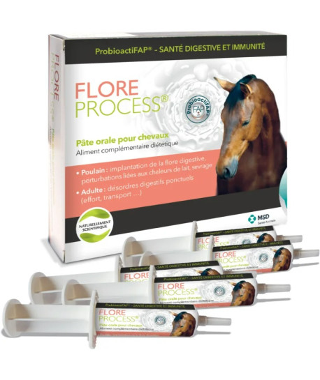 Flore Process Cheval