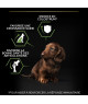 Pro Plan Dog Small / Mini Puppy Healthy Start Poulet