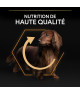 Pro Plan Dog Small / Mini Adult Everyday Nutrition Poulet