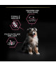Pro Plan Dog Medium Puppy Sensitive Skin Saumon