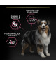 Pro Plan Dog Medium / Large Adult 7+ Sensitive Skin Saumon
