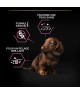 Pro Plan Dog Small&Mini Puppy Sensitive Skin Saumon