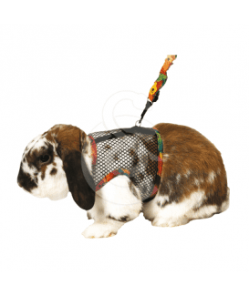 Harnais pour lapin