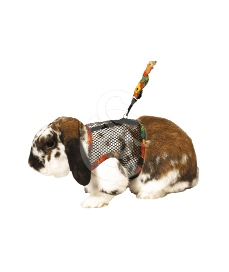 Harnais pour lapin