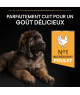 Pro Plan Dog Large Robust Puppy Healthy Start Poulet