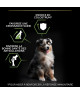 Pro Plan Dog Medium Puppy Healthy Start Poulet