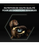 Pro Plan Dog Large Athletic Puppy Sensitive Digestion Agneau