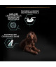 Pro Plan Dog Large Athletic Puppy Sensitive Digestion Agneau