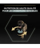 Pro Plan Dog Large Robust Puppy Sensitive Digestion Agneau