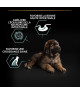 Pro Plan Dog Large Robust Puppy Sensitive Digestion Agneau