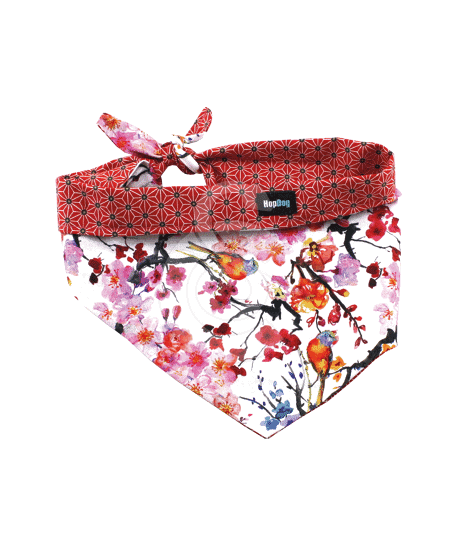 Bandana Hop Dog Japan Travel