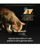 Pro Plan Cat Delicate Mousse Dinde