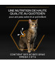 Pro Plan Cat Adult Derma Care Saumon