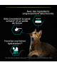 Pro Plan Cat Adult Maintenance Poulet