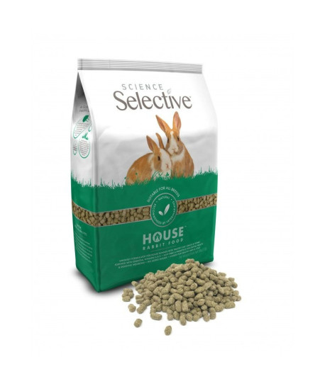 Selective House Rabbit