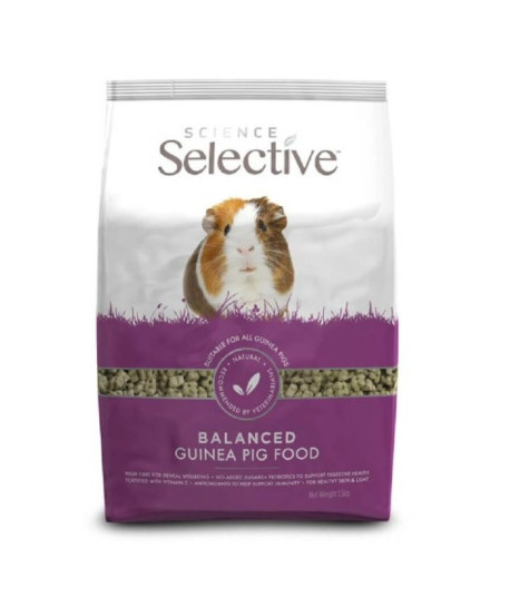 Selective Guinea Pig (Cochon d'Inde)