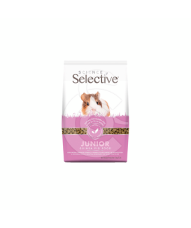 Selective junior Guinea Pig (Cochon d'Inde)