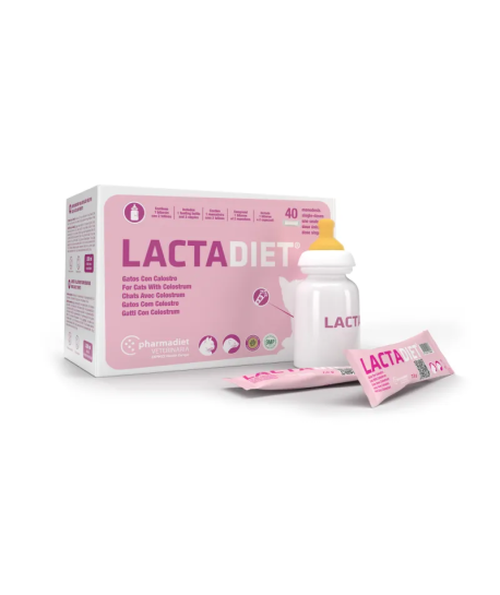 Lactadiet Colostrum Chat