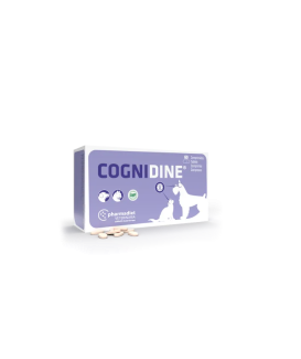 Cognidine