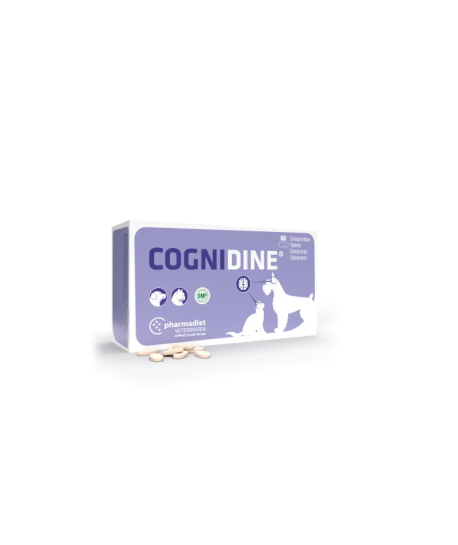 Cognidine