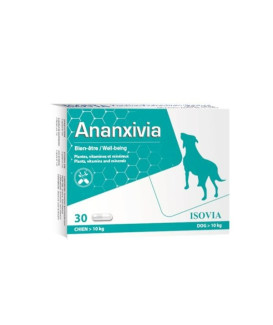 Ananxivia Grand Chien