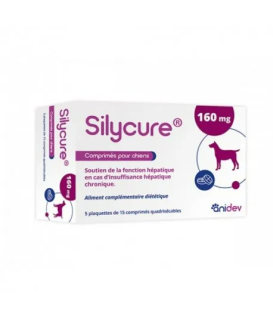 Silycure 160mg
