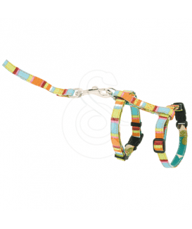 Ensemble harnais / laisse chat Hunter