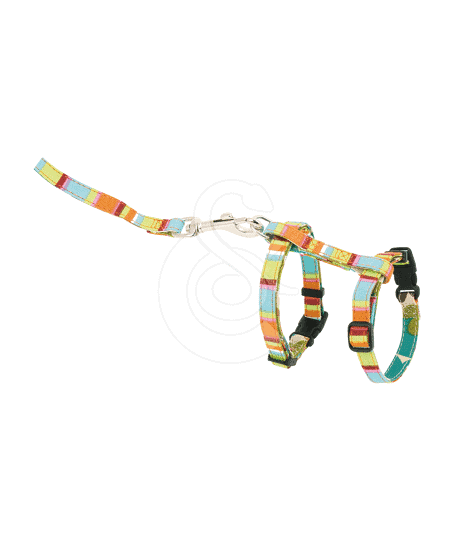 Ensemble harnais / laisse chat Hunter
