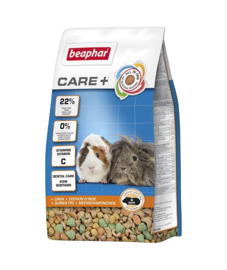 Care + Cochon d'Inde