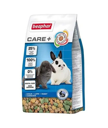 Care + Lapin