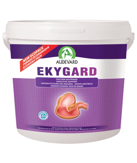 Ekygard