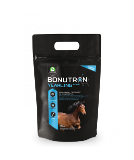 Bonutron Yearling 6-36m New