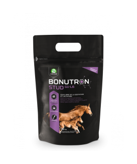 Bonutron Stud G1-L6 New