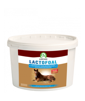 Lactofoal