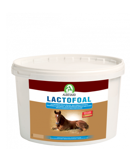 Lactofoal