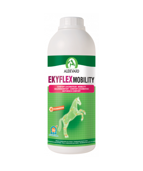Ekyflex Mobility