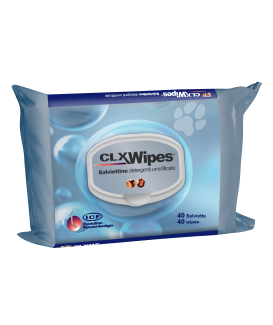 CLX Wipes