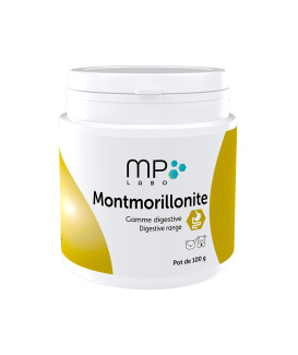 Montmorillonite