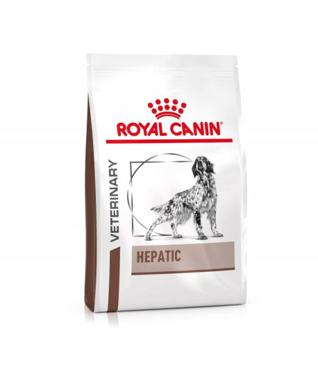 Dog Hepatic
