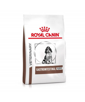 Dog Gastrointestinal Puppy